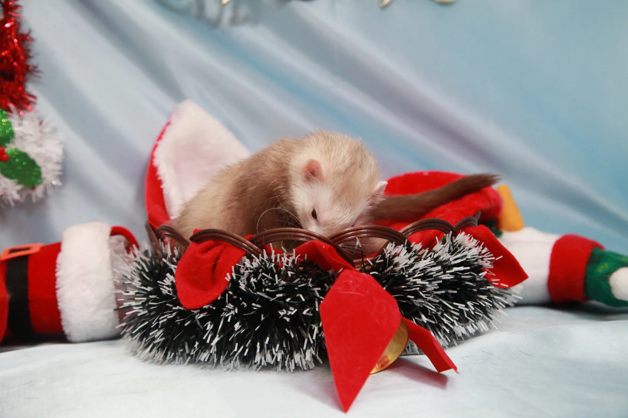 金運アップもケージ問題も道理を弁えていない奴はそもそも何をやってもダメって話