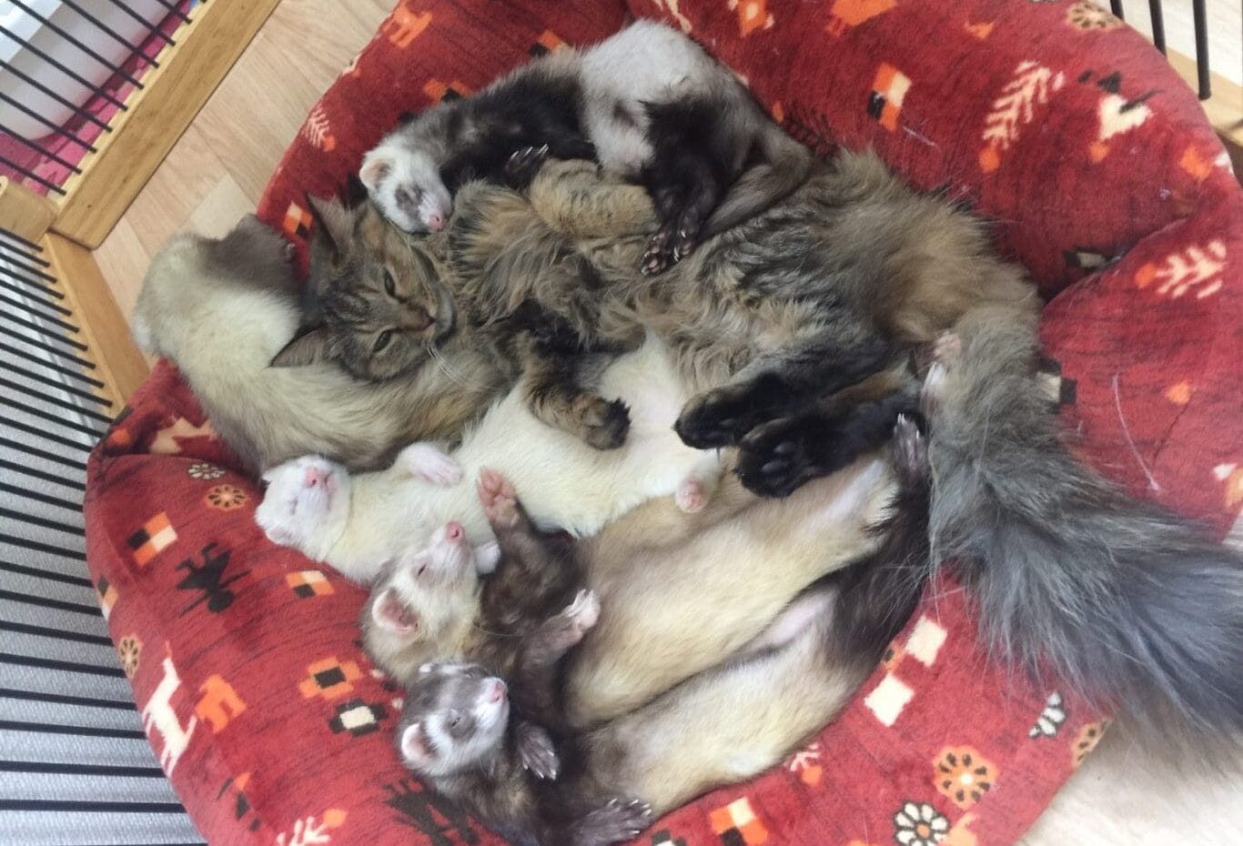 マウントとってこようとする人にはこう返せ！大人のマウンティングの返し方