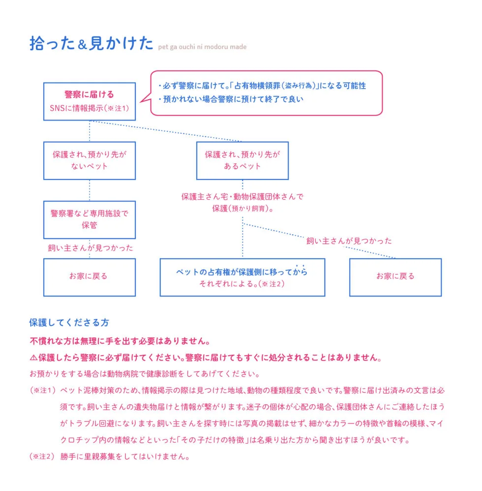 フェレット保護したフローチャート