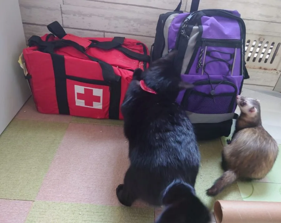 ペットと避難グッズ