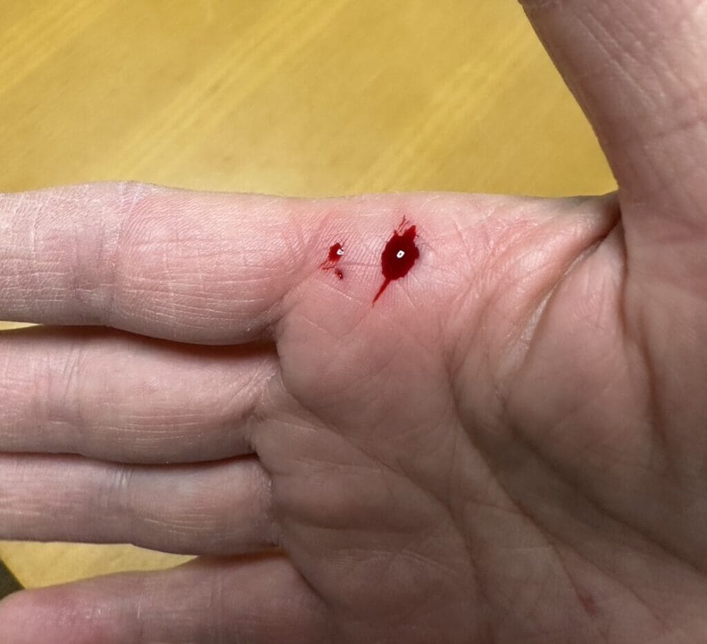 フェレット【革手袋の正しい使い方】噛み癖のしつけ方について