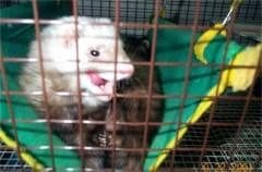 古い写真をスマホで撮ったもの