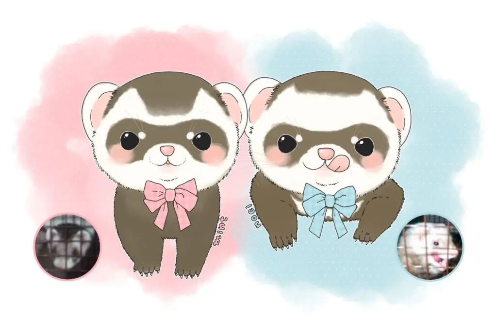 古い写真をイラストに