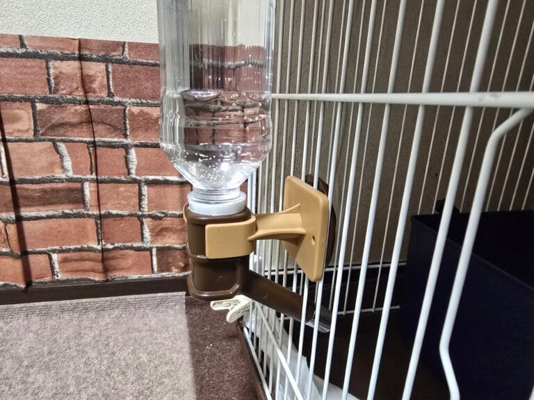 フェレットの給水ボトル