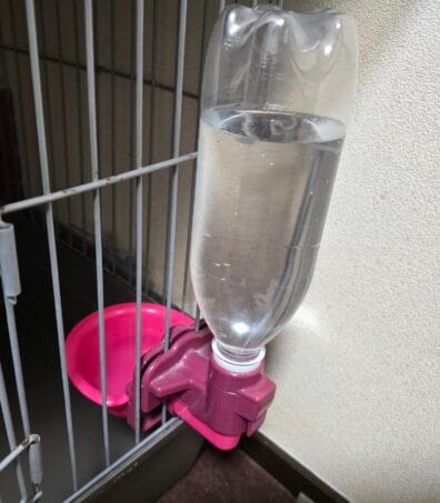 フェレットの給水ボトル