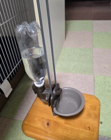 フェレットの給水ボトル