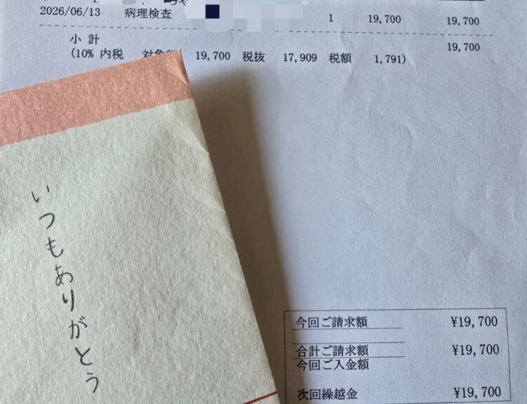 フェレットの病理検査費用