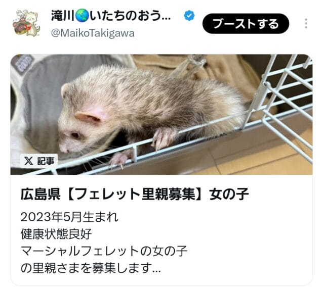 Xの記事